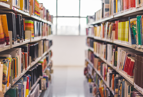 Public Libraries